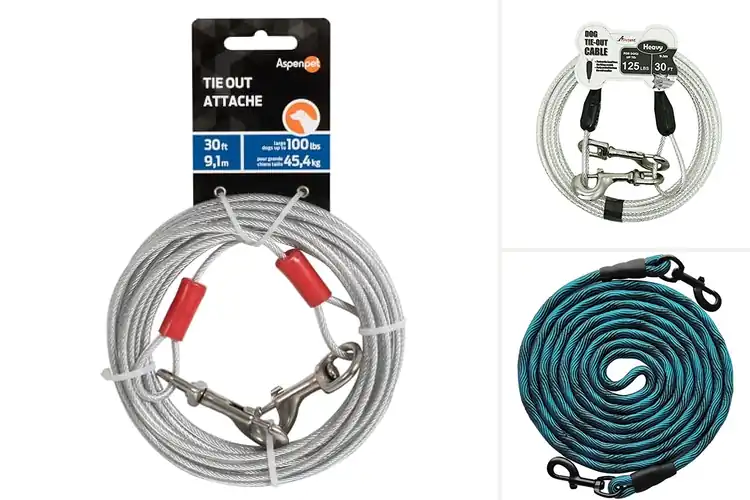 Detailed view of Best 30 Ft Dog Tie Out