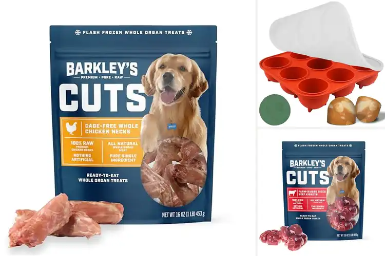Detailed view of Best Better For You Frozen Treats: 10 Healthy Dog Delights