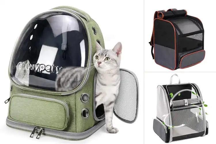 Detailed view of Best Breathable Cat Carriers