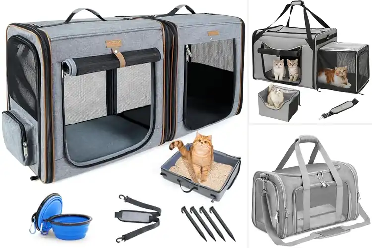 Detailed view of Best Car-Friendly Cat Carriers