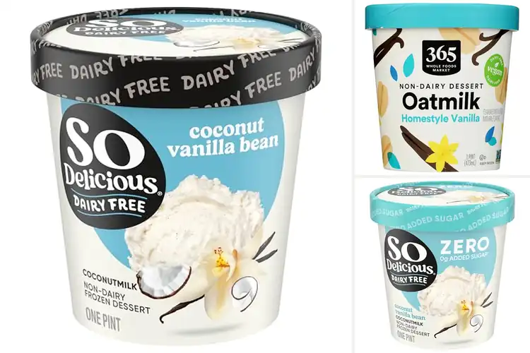 Detailed view of Best Dairy Free Vanilla Ice Cream