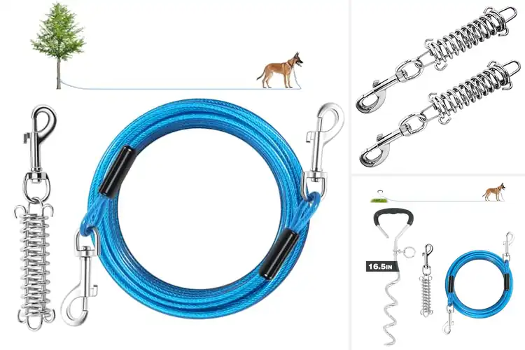 Detailed view of Best Detachable Spring Dog Lead