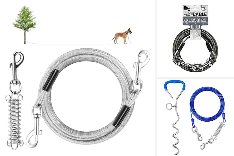 Detailed view of Best Dog Tie Out For 160 Lb Dogs