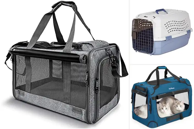 Detailed view of Best Durable Cat Carriers: Top Picks for Safe & Comfy Travel