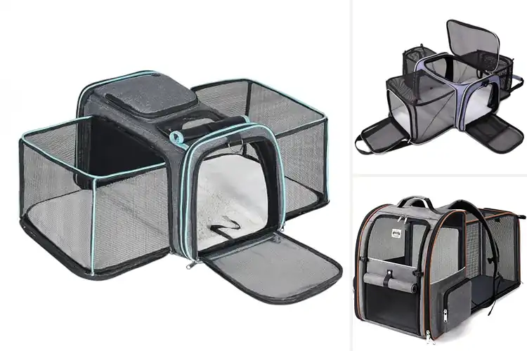 Detailed view of Best Expandable Cat Carriers