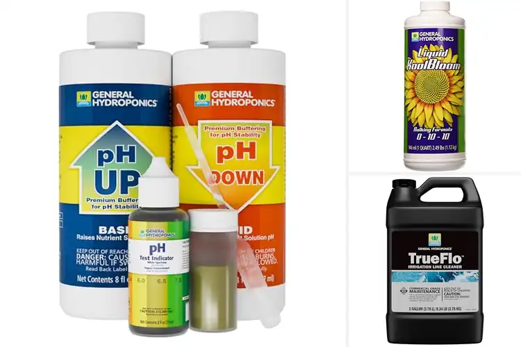 Detailed view of Best Hydroponic Components