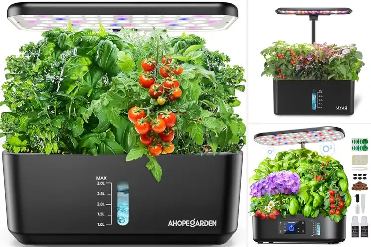 Detailed view of Best Hydroponics Gardens