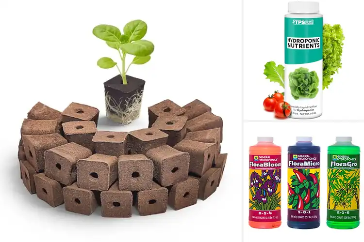Detailed view of Best Hydroponics Setup Parts
