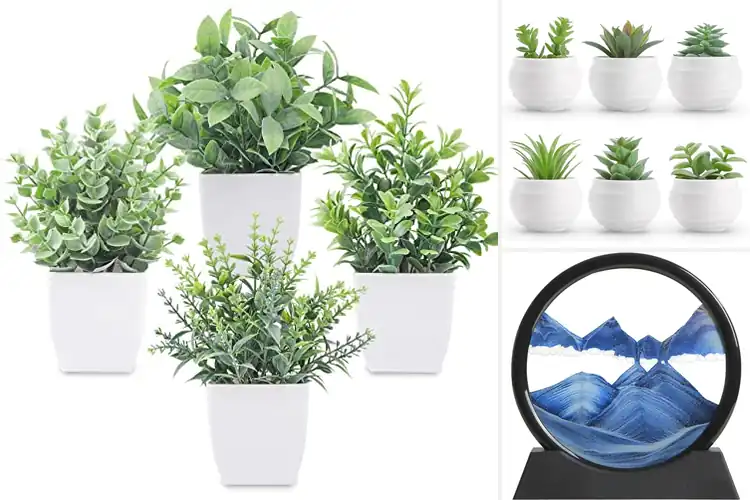 Detailed view of Best Office Shelf Decorations for an Inspiring Workspace
