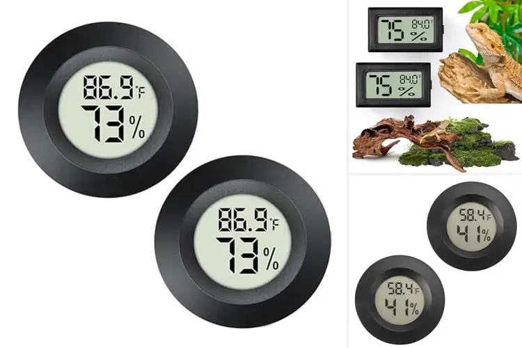 Detailed view of Best Reptile Humidity Monitors
