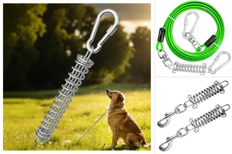 Detailed view of Best Shock Absorbing Dog Tie Out
