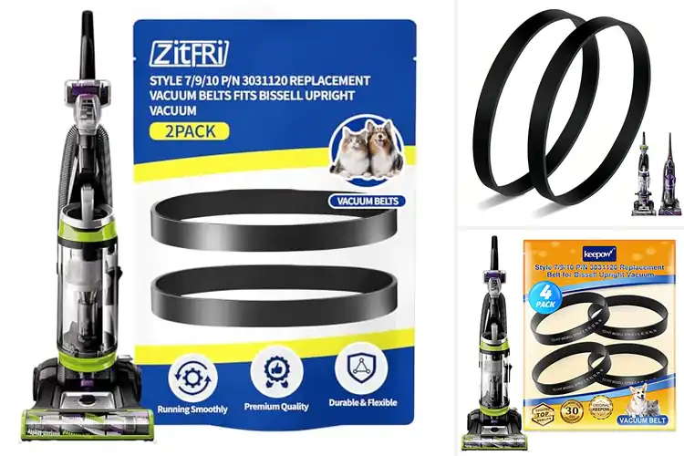 Detailed view of Best Vacuum Belt Replacements