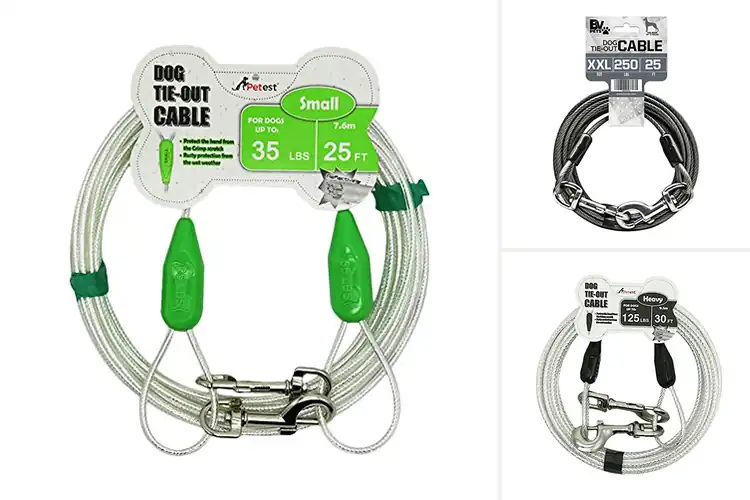 Detailed view of Best Weatherproof Dog Tie Out For Outdoors